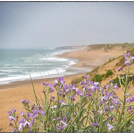 Le Foch - Face Avec Garage *